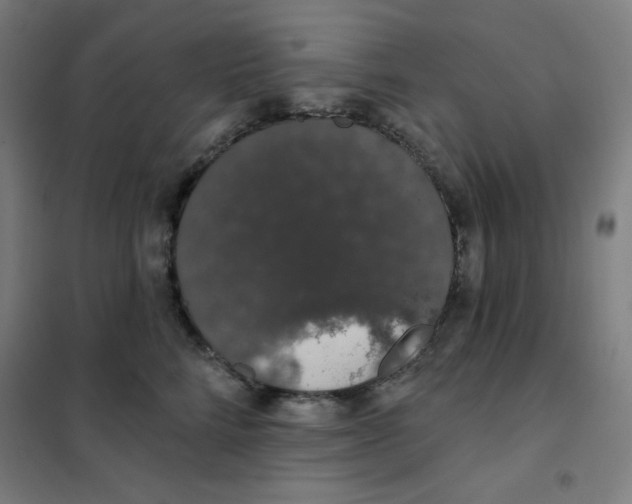 X0000101400712200808041041