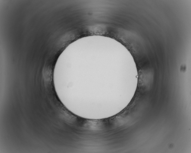 X0000101400713200808041041