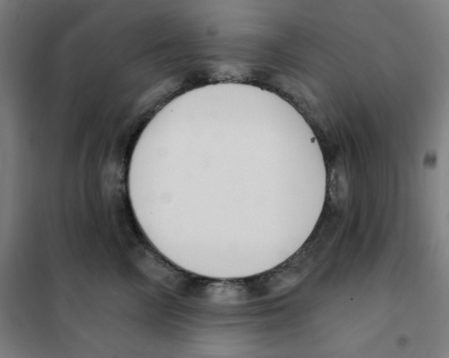 X0000101400714200808041041