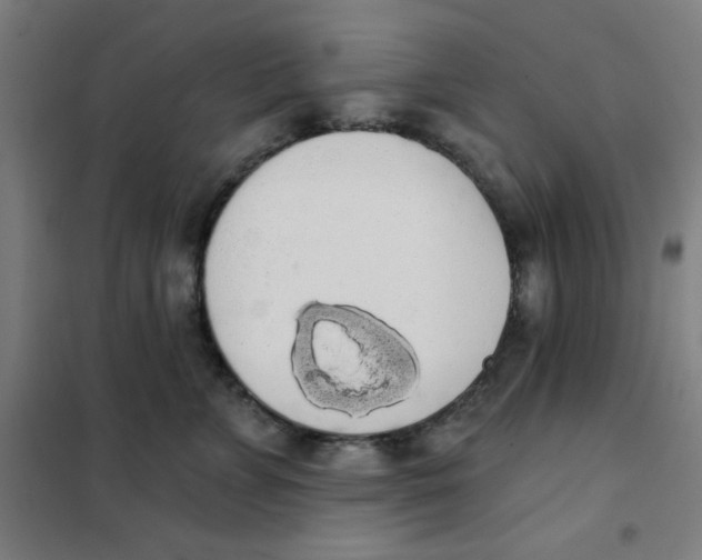 X0000101400715200808041041