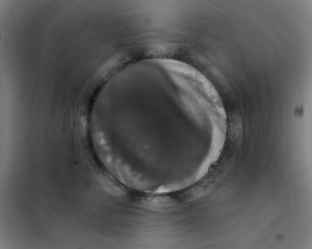 X0000101400716200808041041