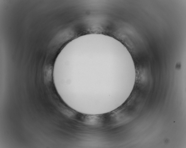 X0000101400717200808041041