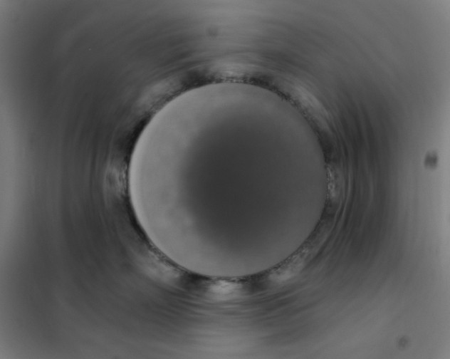 X0000101400718200808041041