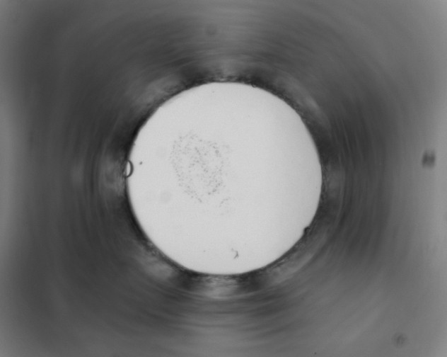 X0000101400719200808041041