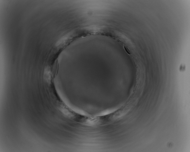 X0000101400720200808041041