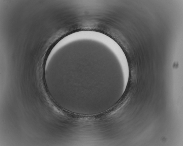 X0000101400721200808041040