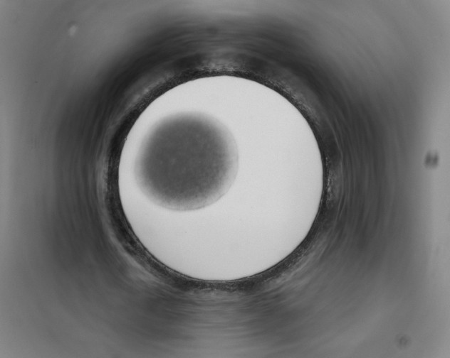 X0000101400722200808041040