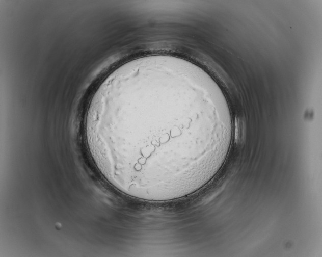 X0000101400723200808041040