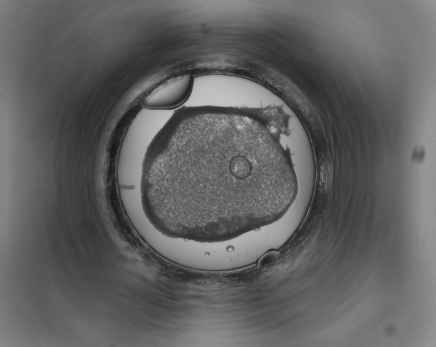 X0000101400724200808041040