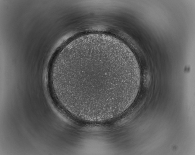 X0000101400726200808041040