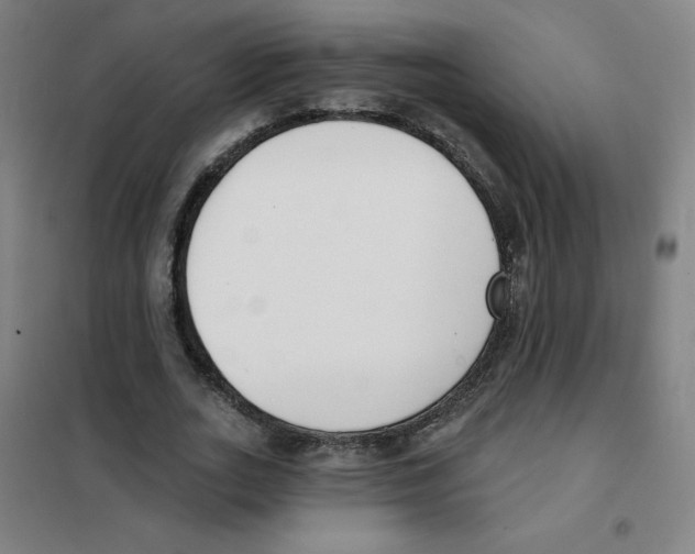 X0000101400727200808041040