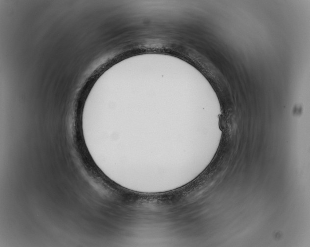 X0000101400728200808041040