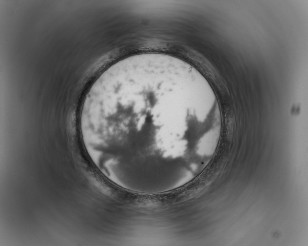 X0000101400729200808041040