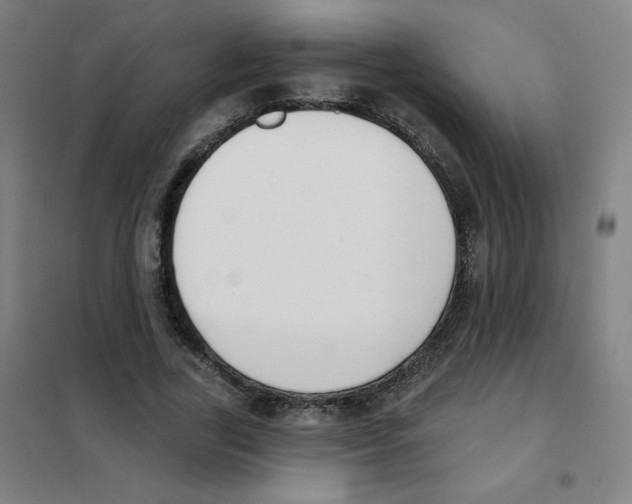 X0000101400731200808041040