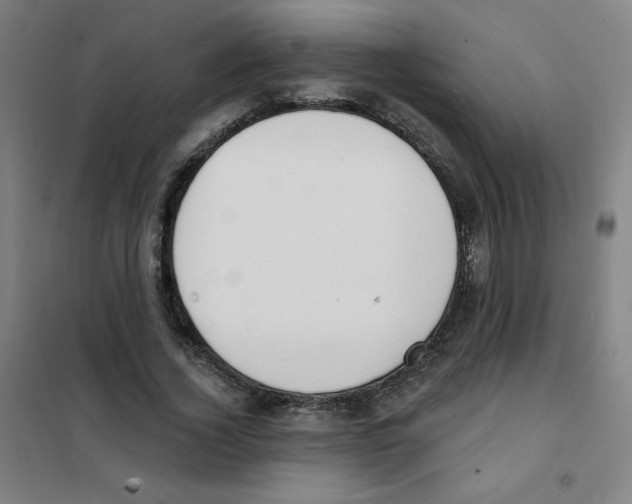 X0000101400732200808041040