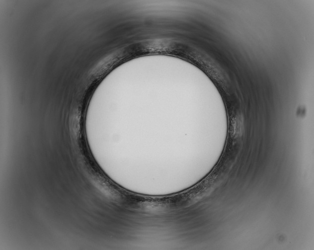 X0000101400733200808041040