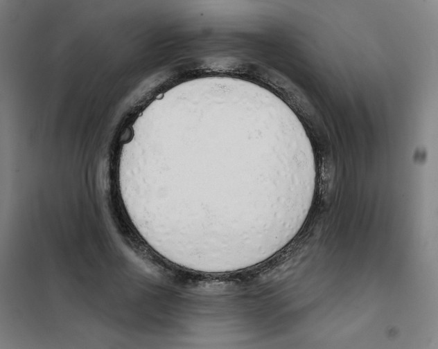 X0000101400734200808041040