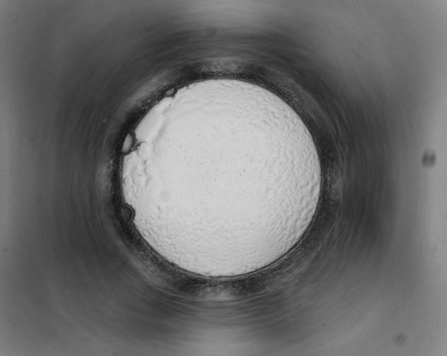 X0000101400735200808041040