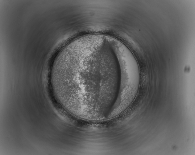 X0000101400736200808041040