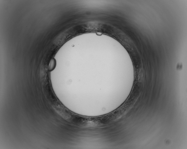 X0000101400737200808041040