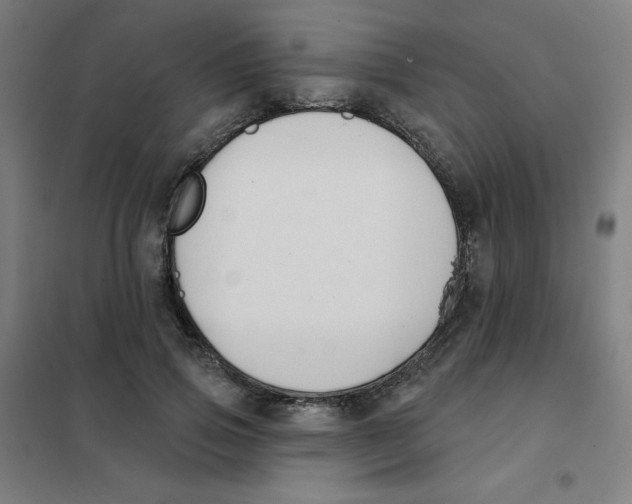 X0000101400741200808041040