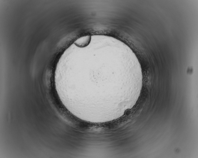 X0000101400742200808041040