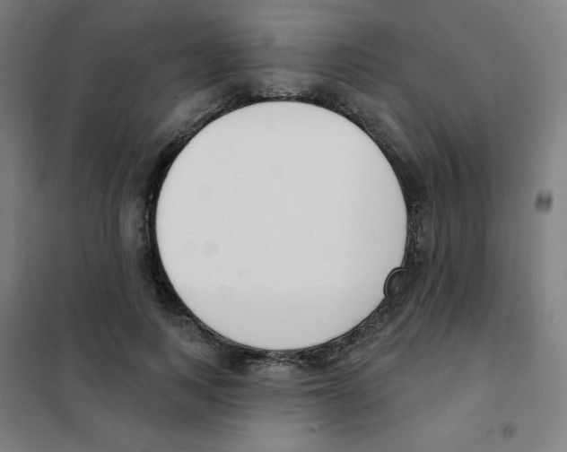 X0000101400743200808041040