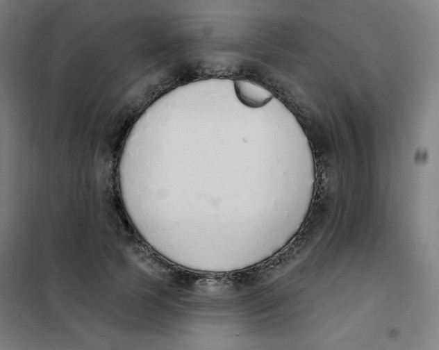 X0000101400745200808041040