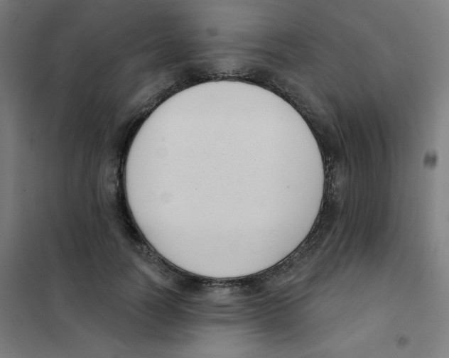 X0000101400746200808041040