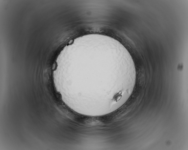 X0000101400747200808041040