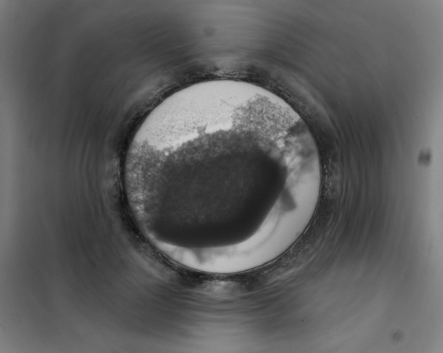 X0000101400748200808041040