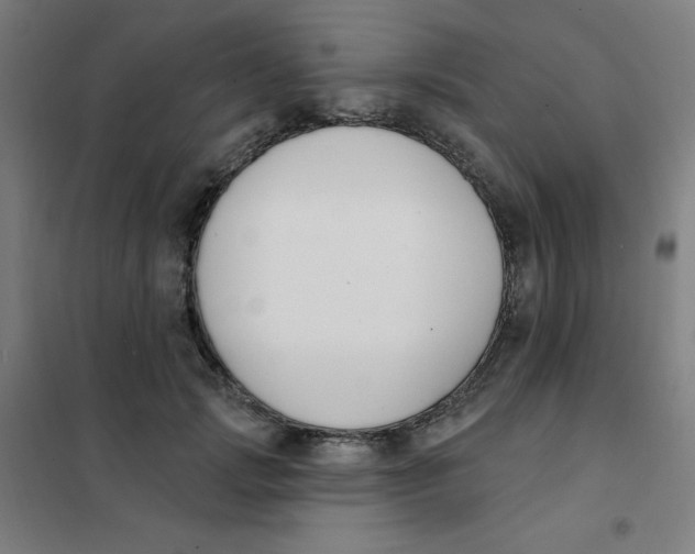 X0000101400749200808041040