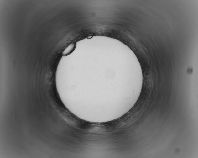 X0000101400750200808041040