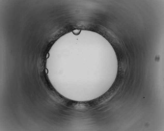 X0000101400751200808041040