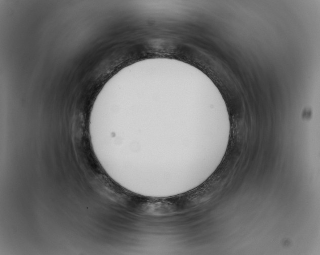 X0000101400752200808041040