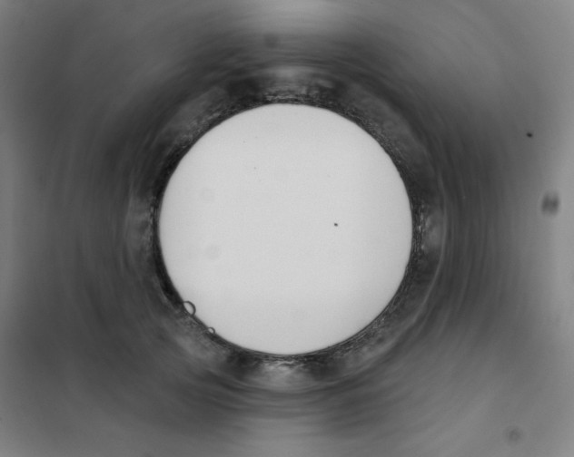 X0000101400753200808041040