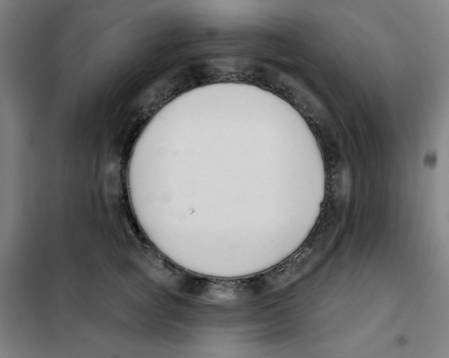 X0000101400757200808041041