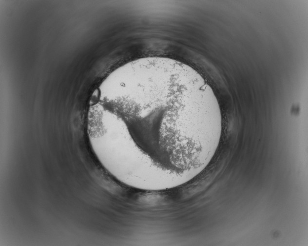 X0000101400759200808041041