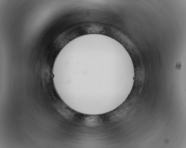 X0000101400761200808041041