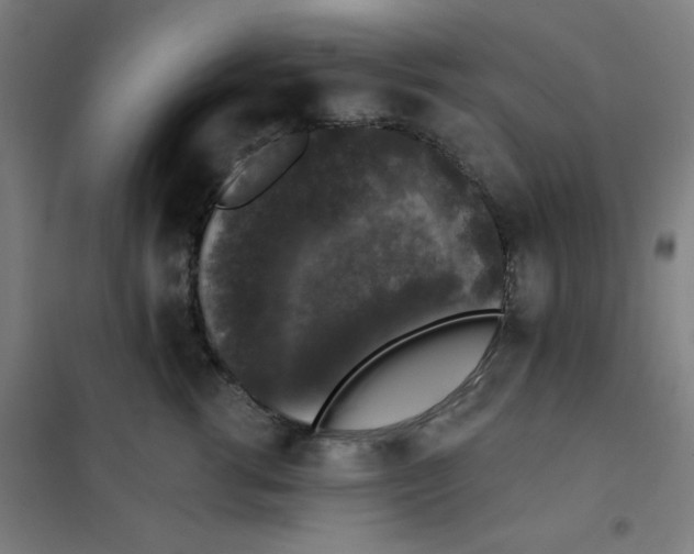 X0000101400762200808041041