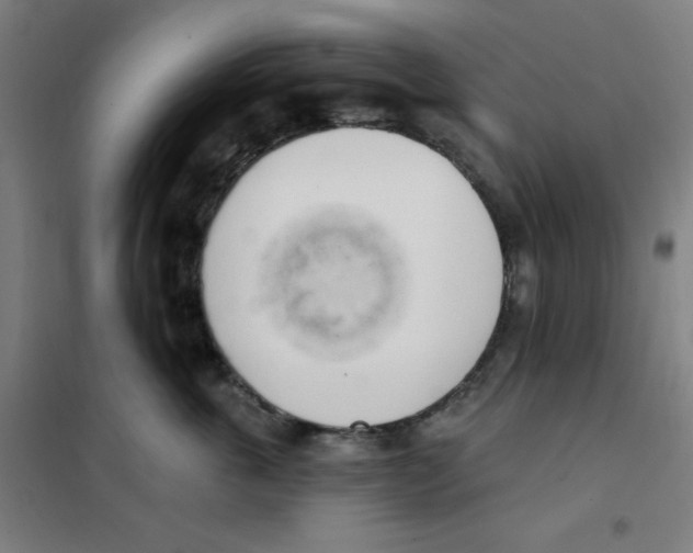 X0000101400763200808041041