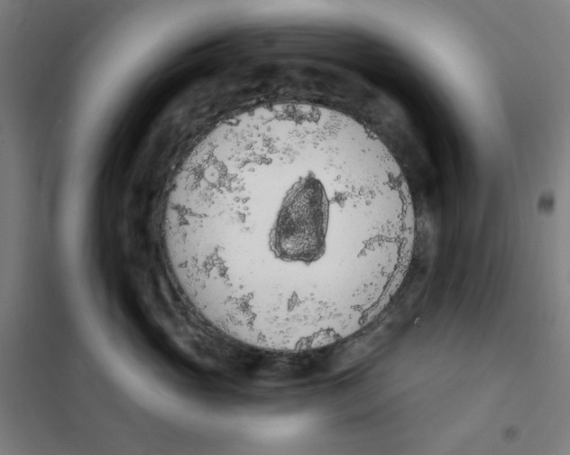 X0000101400765200808041041