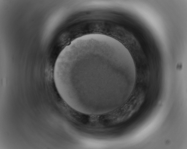 X0000101400766200808041041