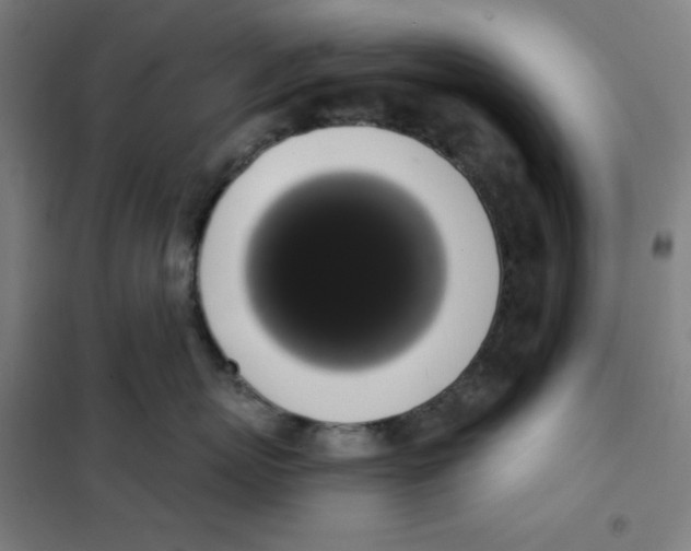 X0000101400767200808041041