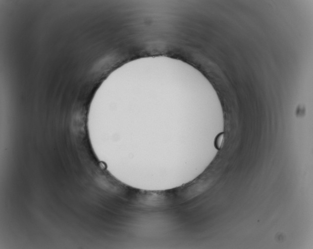 X0000101400768200808041041