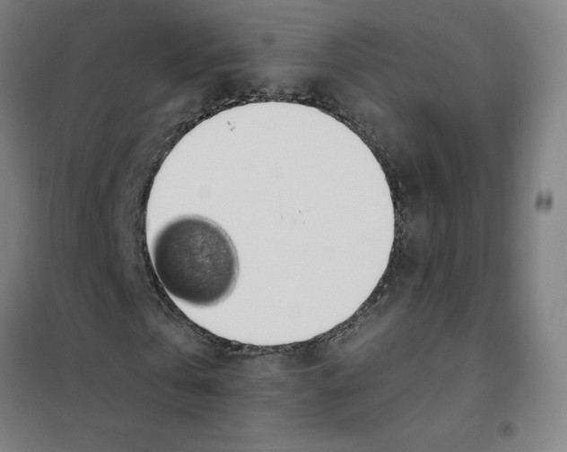 X0000101400769200808041040