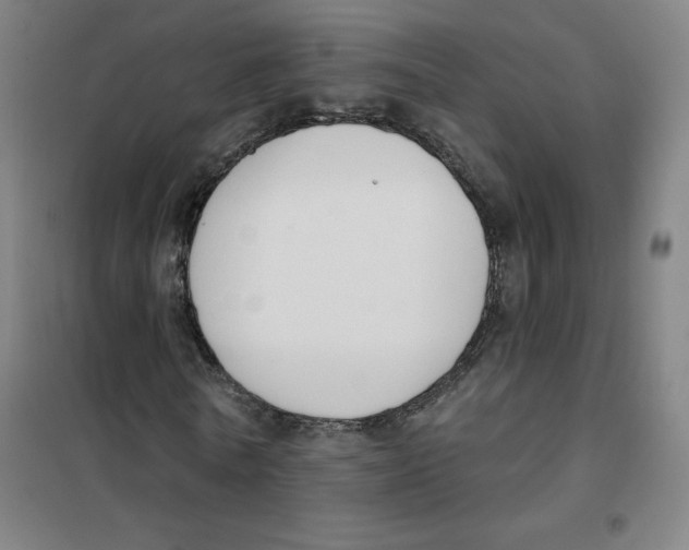 X0000101400770200808041040