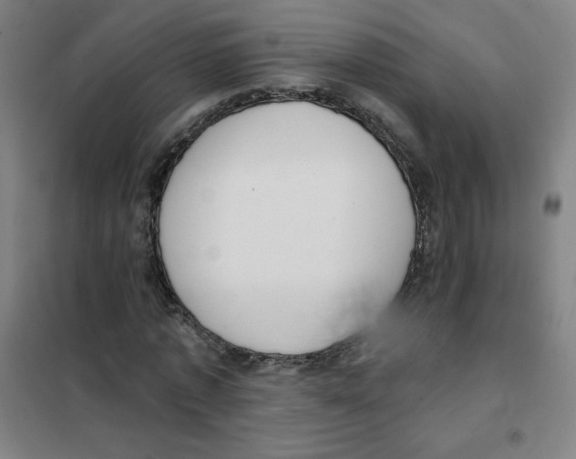 X0000101400773200808041040