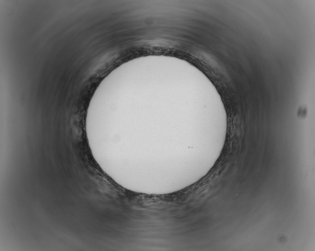 X0000101400774200808041040