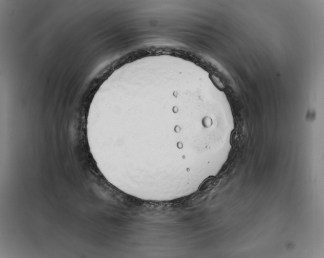 X0000101400775200808041040